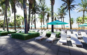 vacation, spring break, luxury, resort, florida, beach, oceanfront, palm trees