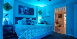 Club Wyndham's Antarctica-themed suite