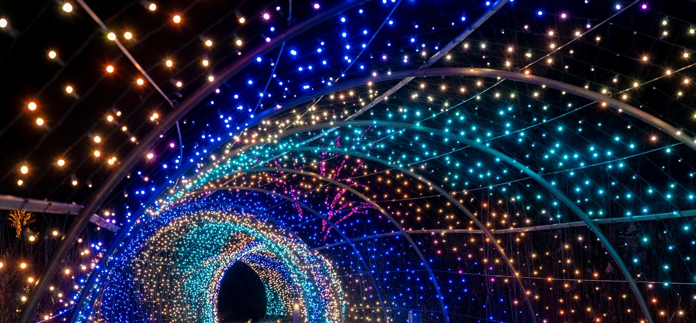 Image: Christmas Lights - Meadow Light Tunnel. (Photo Credit: Hank Davis for Longwood Gardens)