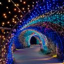 Christmas Lights - Meadow Light Tunnel.