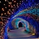 Christmas Lights - Meadow Light Tunnel.