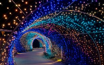Christmas Lights - Meadow Light Tunnel.