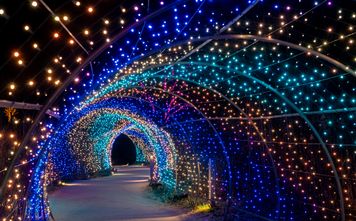 Christmas Lights - Meadow Light Tunnel.