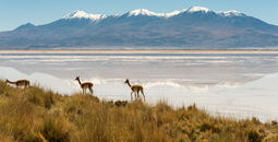 Atacama Desert