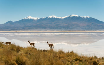 Atacama Desert