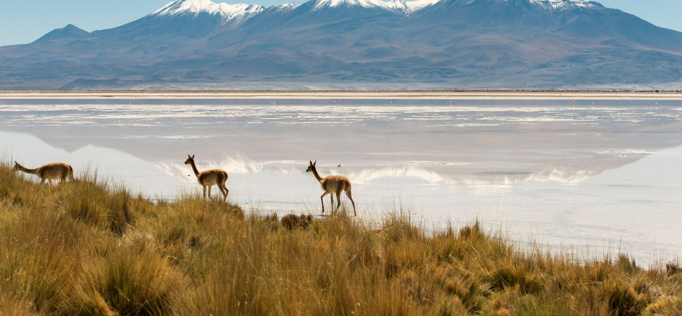 Image: Le programme de circuits comprend sept itinéraires à travers les sites majeurs du pays, dont le désert d’Atacama (Source: Courtesy of Sernatur Chile)
