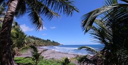 A beach on Dominica