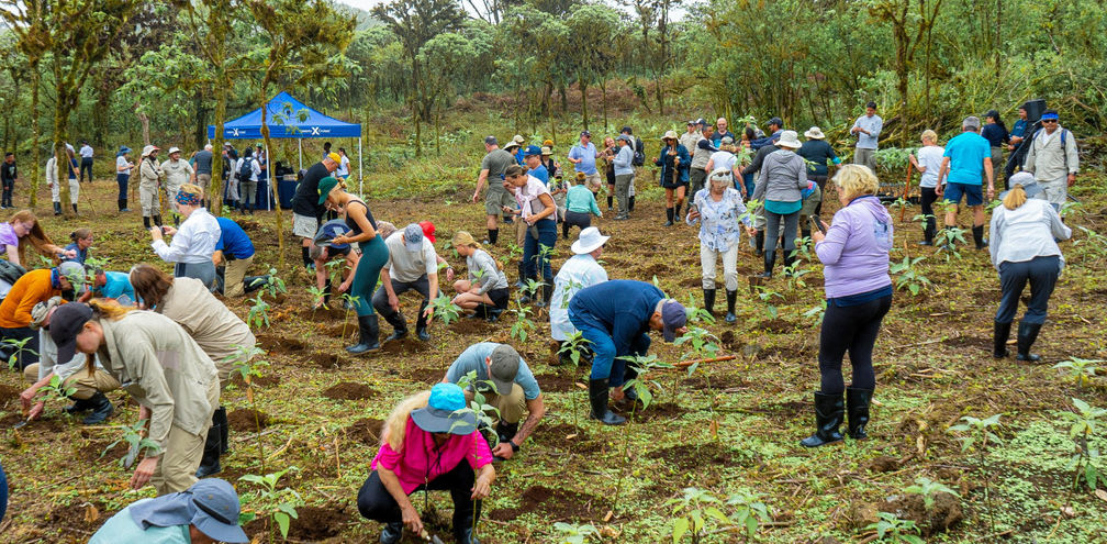 Launched in 2026, Royal Caribbean Group Foundation will give back to the communities where the company operates.