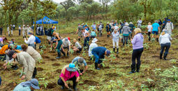 Launched in 2026, Royal Caribbean Group Foundation will give back to the communities where the company operates.
