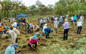 Launched in 2026, Royal Caribbean Group Foundation will give back to the communities where the company operates.