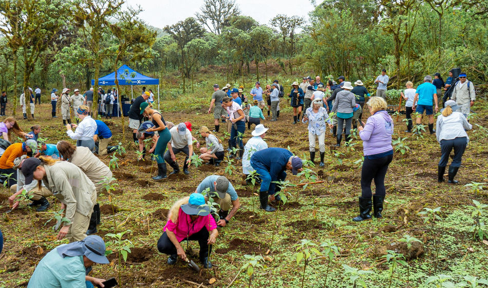 Launched in 2026, Royal Caribbean Group Foundation will give back to the communities where the company operates.