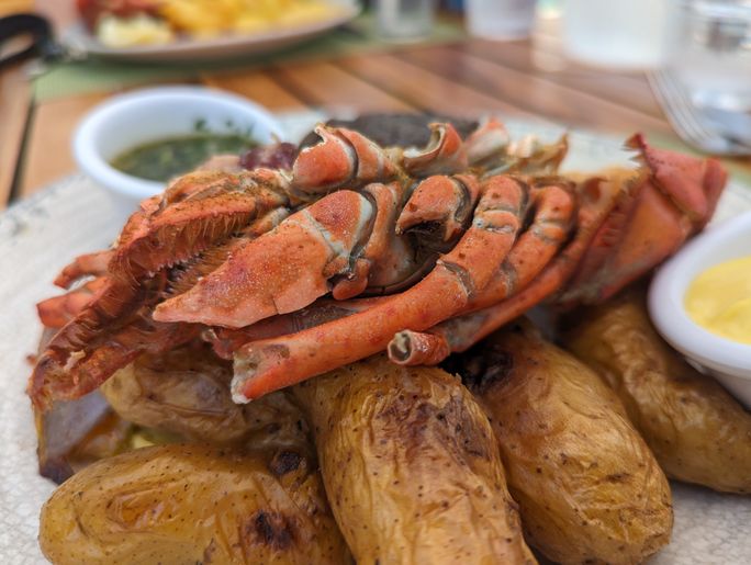 Lobster for lunch at Coco Beach Club at Perfect Day at CocoCay