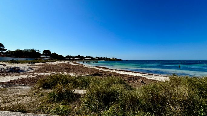 Guide to Australia’s States and Territories

Rottnest Island, Western Australia