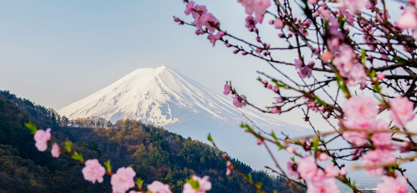 Image: Fuji mountain and Pink Sakura Branches at Kawaguchiko Lake, Japan (Photo Credit: Costsaver)