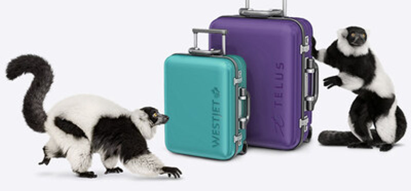 Image: WestJet has teamed up with TELUS to offer WestJet Rewards members free inflight wifi.
