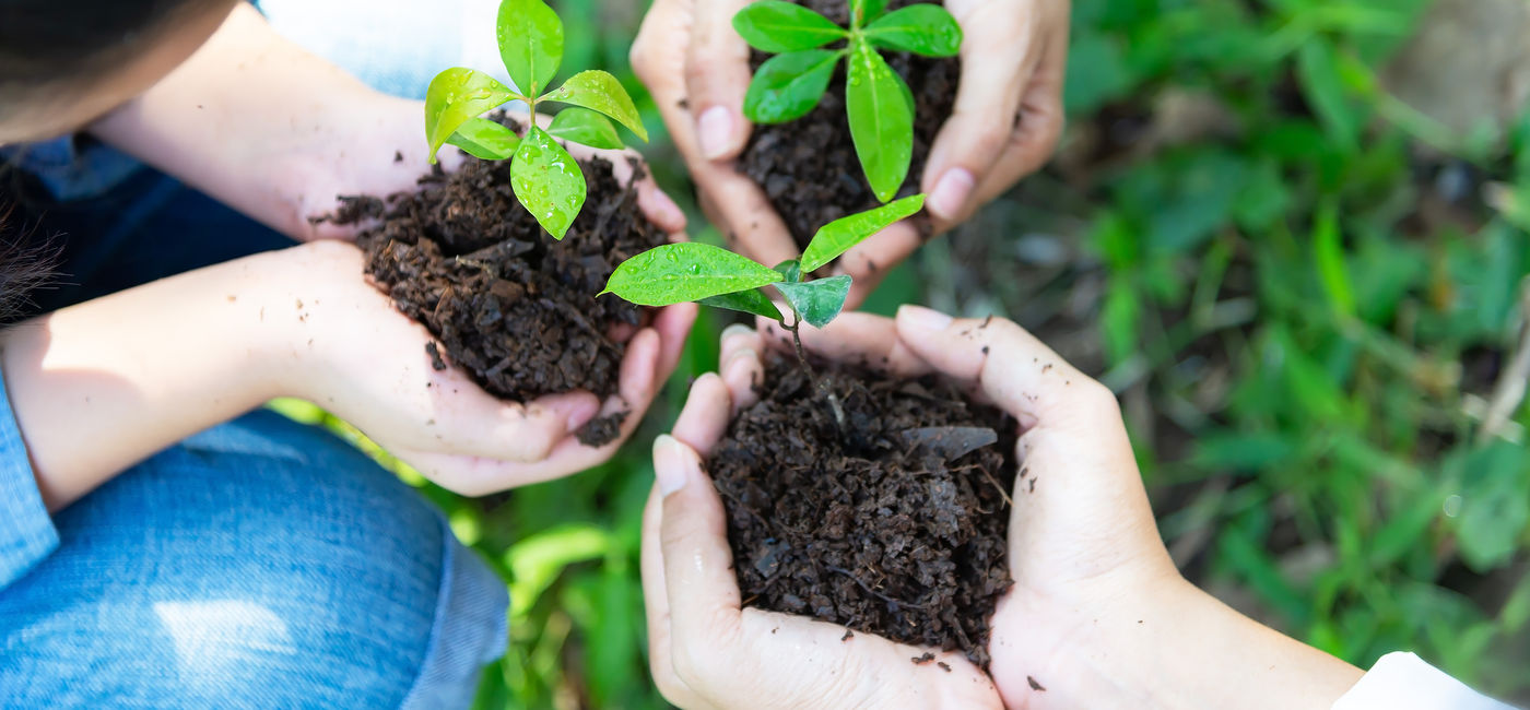 Image: Le gouvernement fédéral continue d’investir dans Parcs Canada (Source: iStock/Getty Images Plus/VichienPetchmai)