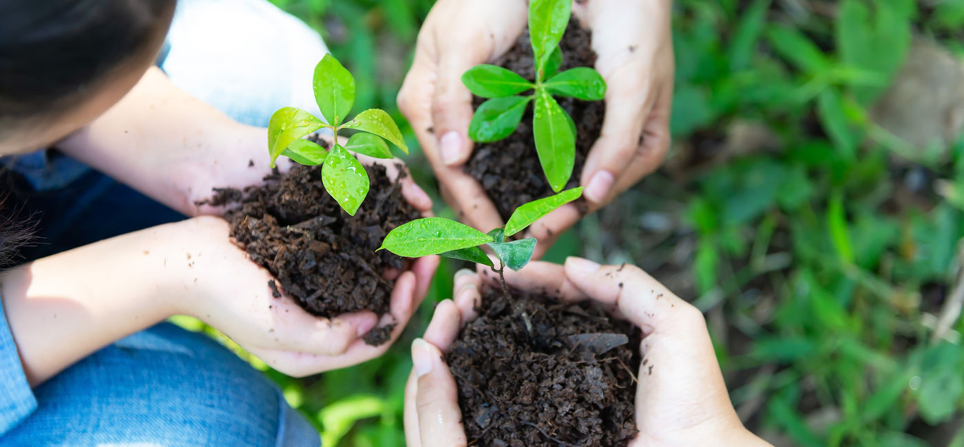 Image: Sustainability has become an important consideration for travelers. (photo via iStock/Getty Images Plus/VichienPetchmai)