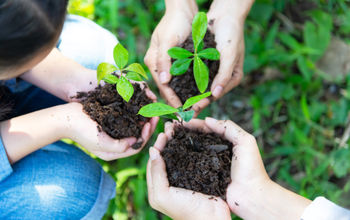 Sustainability, sustainable, ecology, eco-travel, voluntourism, plants, planting, soil, environment, environmental