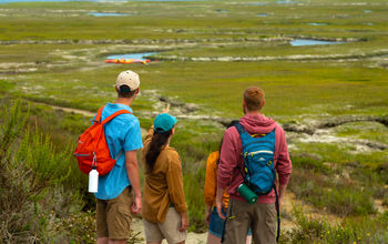 Baja California Travel,