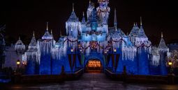 Sleeping Beauty's Winter Castle.