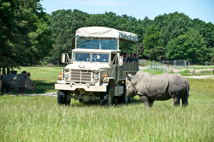 Overnight guests at Savannah Sunset Resort & Spa can participate in off-road adventures at Wild Safari