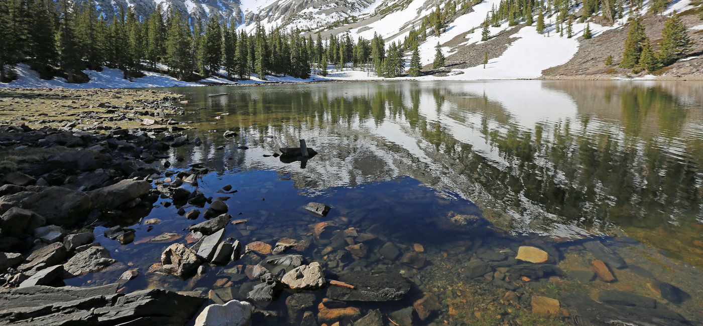 Image: Stella Lake in Great Basin National Park. (Photo Credit: jerzy/Adobe)