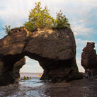 Saint John