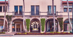 The Palm Beaches