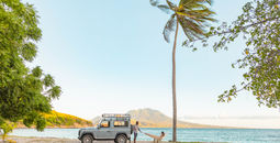 St. Kitts