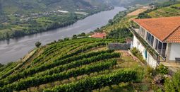Portugal's Duoro Valley