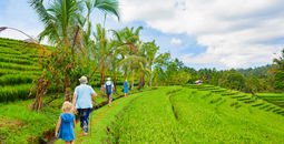 Family on a nature walk in Bali, Indonesia