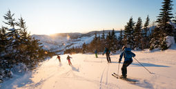 Skiers on the slopes