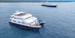 National Geographic Delfina and National Geographic Gemini in Academy Bay