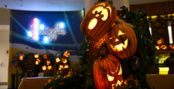 Universal Orlando Resort Cabana Bay Beach Resort's Swizzle Lounge
