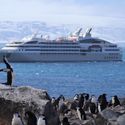 A penguin colony gathered in front of the author's Ponant cruise ship in Antarctica.