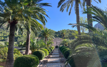 The lush Jardines de Alfabia in the island's interior.