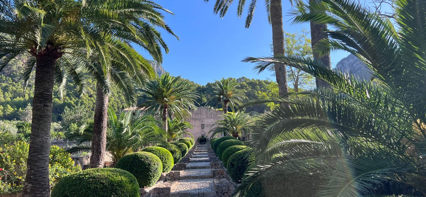Image: The lush Jardines de Alfabia in the island's interior. (Photo Credit: Paul Heney)