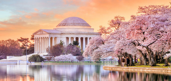 Washington DC's Jefferson Memorial during the annual Cherry Blossom Festival. Washington DC's Jefferson Memorial during the annual Cherry Blossom Festival.