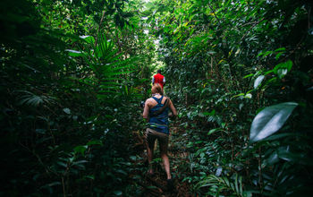 Hiking in Dominica