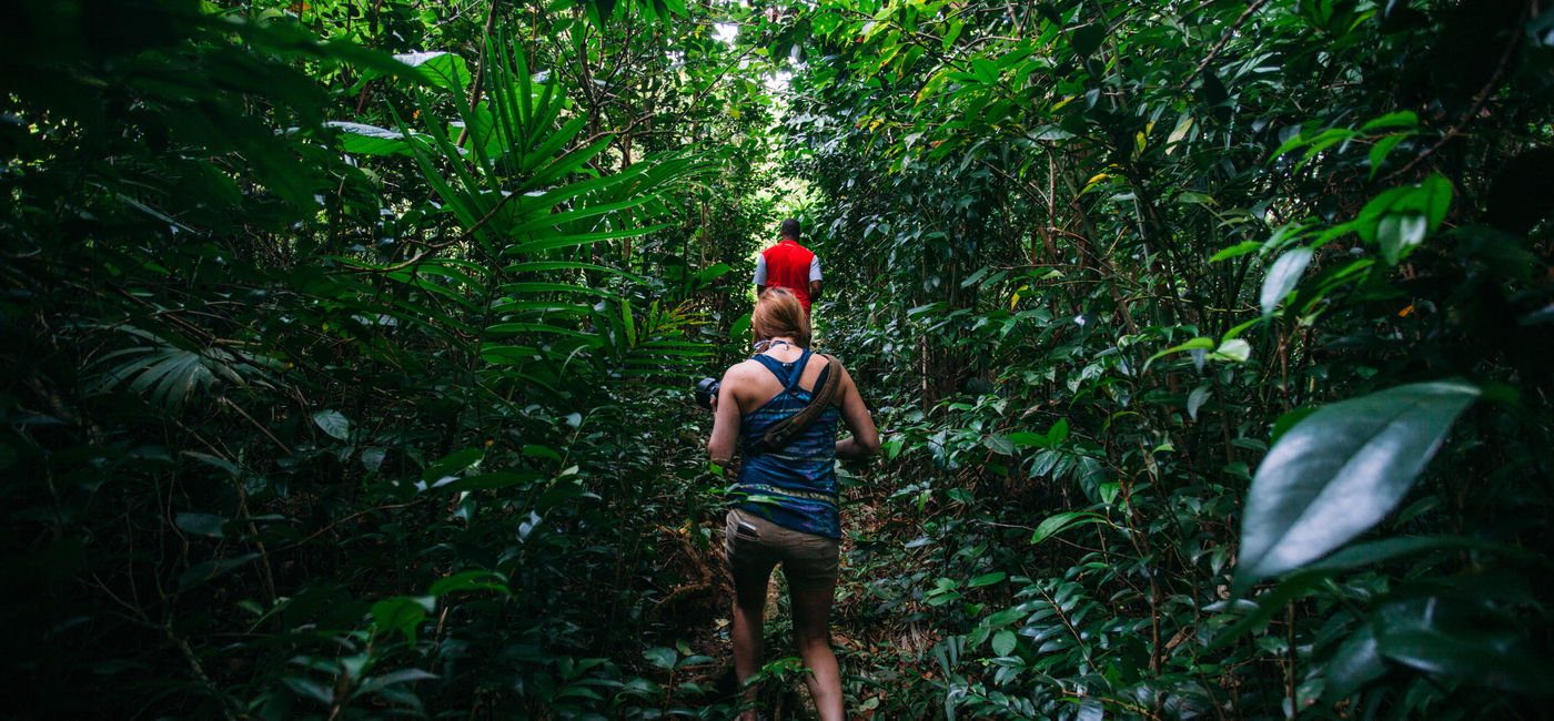 Image:  (Photo Credit: Discover Dominica Authority)