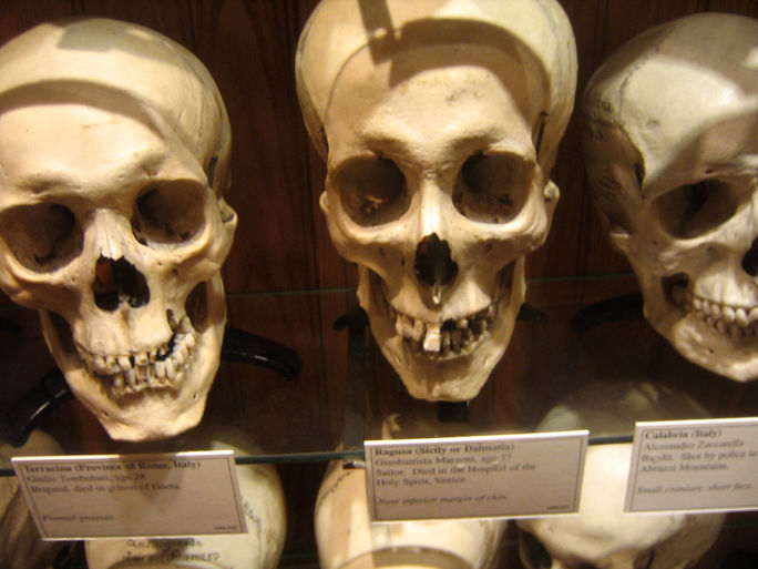 The Mutter Museum in Philadelphia Mutter Museum, Philadelphia, Museums