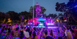 Typhoon Lagoon comes alight during the Disney H20 Glow After Hours event.