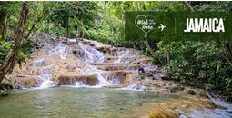 Come Alive in Jamaica 