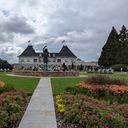 Chateau Elan Winery & Resort