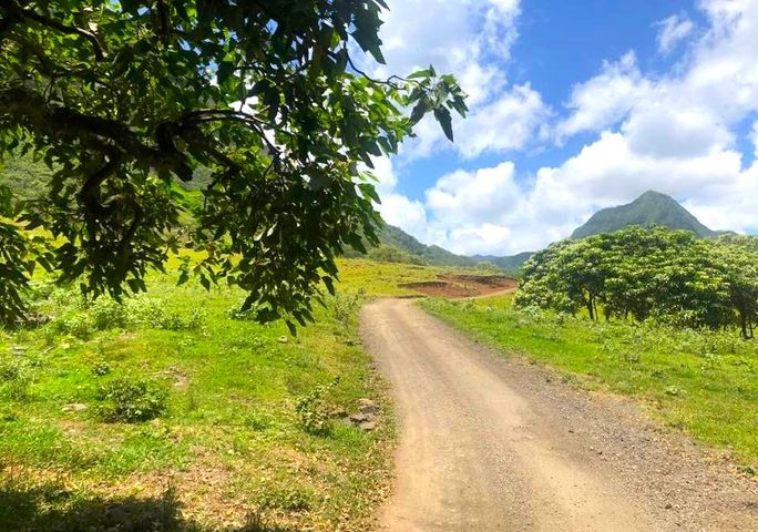 Kualoa Ranch, Oahu, Hawaii Kualoa Ranch, Oahu, Hawaii