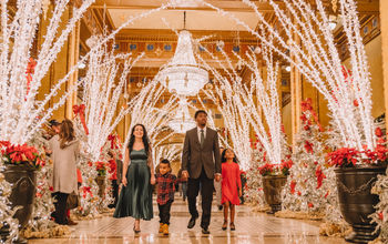 Holiday Wonderland in New Orleans