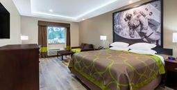 Super 8 by Wyndham Kingwood, Texas hotel room