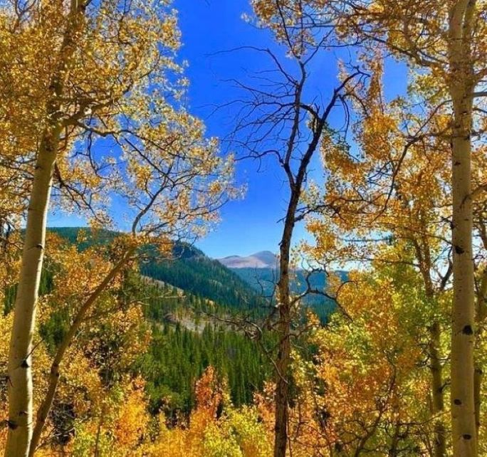 Stunning Fall Views in Breckenridge, CO Stunning Fall Views in Breckenridge, CO