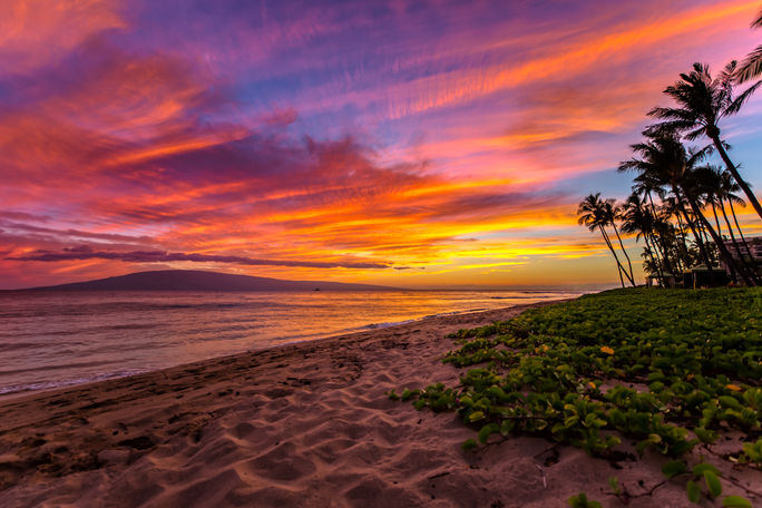 Hawaii, particularly Maui and the Big Island, is proving to be a domestic hotspot among luxury travelers. Hawaii, particularly Maui and the Big Island, is proving to be a domestic hotspot among luxury travelers.