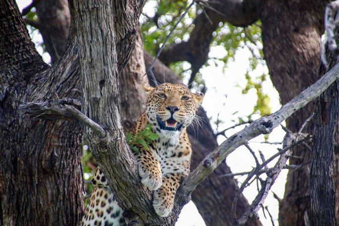 Exploring South Africa